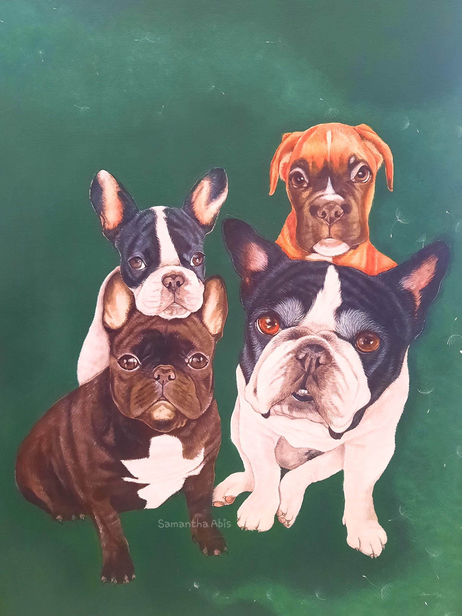 Samantha Abis: oggi >creenshot d'auto. 4 big dogs dietro una serie di sfumature di verde, fra buio e chiaro, a partire per...